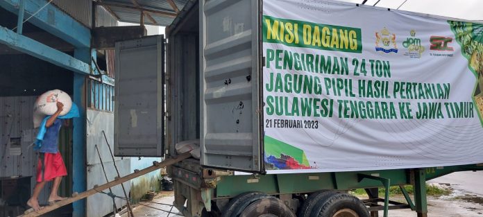 Ketgam: Proses pengiriman Jagung Pipil oleh CV. Sengkang Duta Comoditi ke Pulau Jawa, Selasa (21/2/2023). Foto: Ist